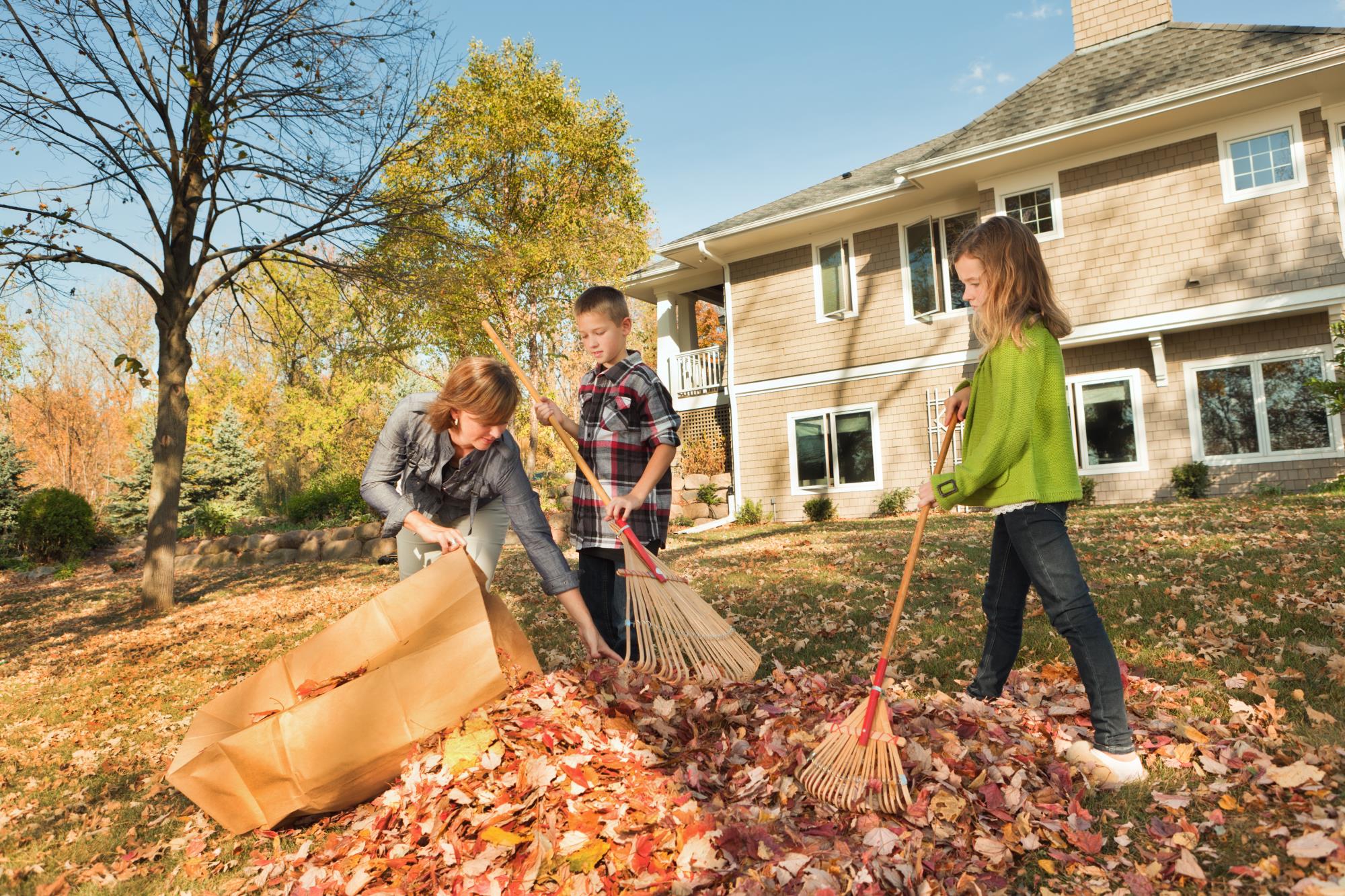 leaf recycling