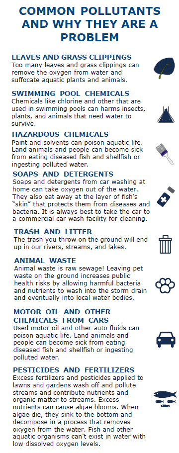 Common Pollutants 2