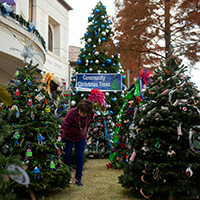 community christmas trees